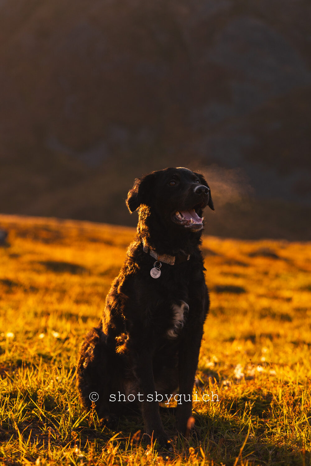 Photography by Quich — Anchorage, Alaska